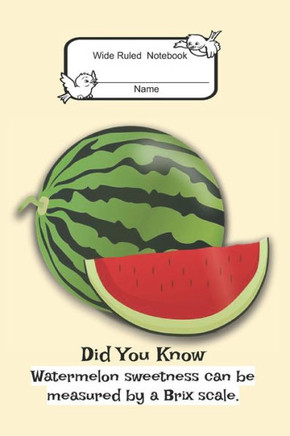 Composition Book: Wide Rule- Watermelon