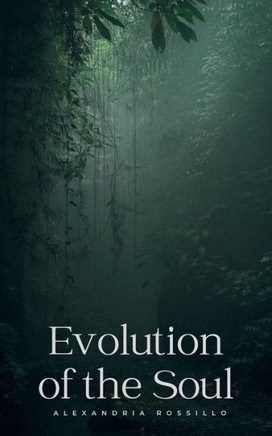 Evolution of the Soul