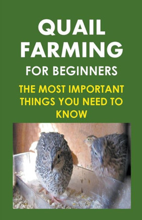 Quail Farming For Beginners: The Most Important Things You Need To Know