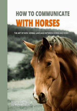 How to communicate with horses: The art of non-verbal language between horse and rider