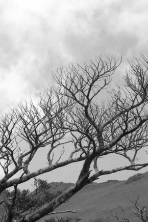 Inspiration 47: The Final Ride