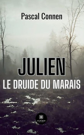 Julien Le druide du marais