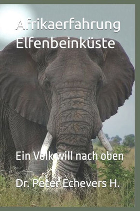 Afrikaerfahrung Elfenbeinküste: Ein Volk will nach oben