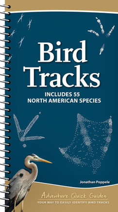 Bird Tracks: Includes 55 North American Species (Adventure Quick Guides)