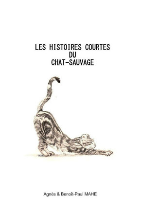 Les histoires courtes du chat-sauvage