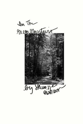 In the Green Mountains