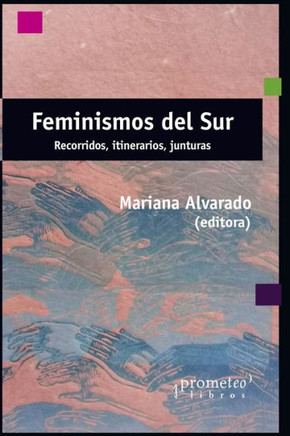 Feminismos del sur: Recorridos, itinerarios, junturas
