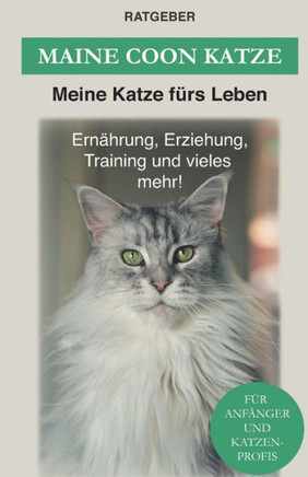 Maine Coon: Maine Coon Katze Ratgeber - Erziehung, Ernährung und Pflege