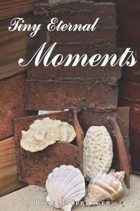 Tiny Eternal Moments