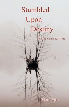 Stumbled Upon Destiny