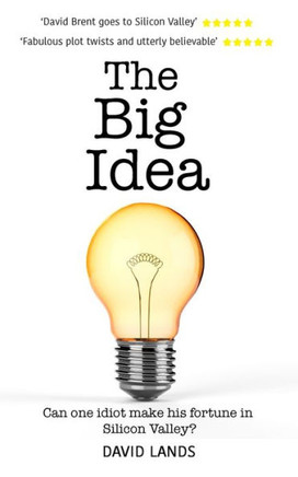 The Big Idea : Can One Idiot Make His Fortune In Silicon Valley?