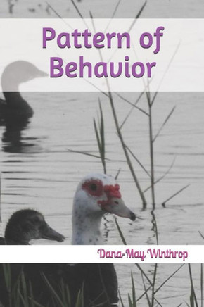 Pattern Of Behavior