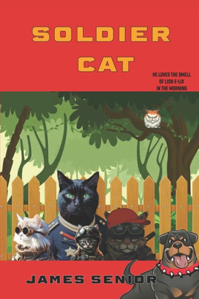 Soldier Cat