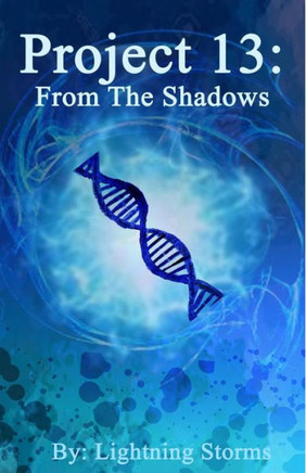 Project 13 : From The Shadows