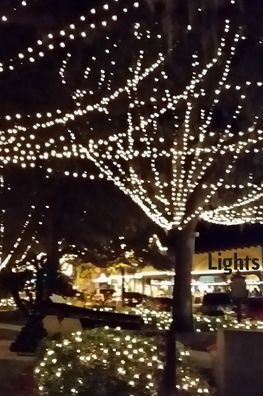 Lights: The Nights of