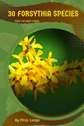 30 Forsythia species: Make the right choice