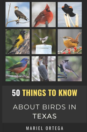 50 Things to Know About Birds in Texas: Birding in the Texas