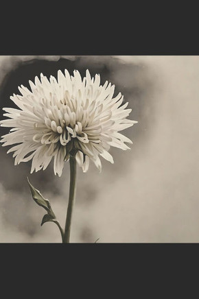 A voz da flor