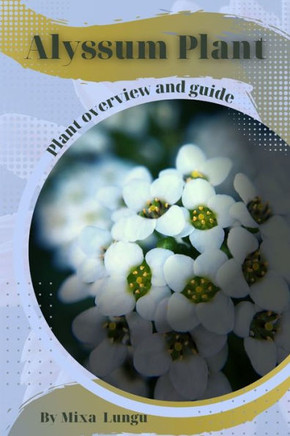 Alyssum Plant: Plant overview and guide