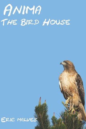 Anima: The Bird House