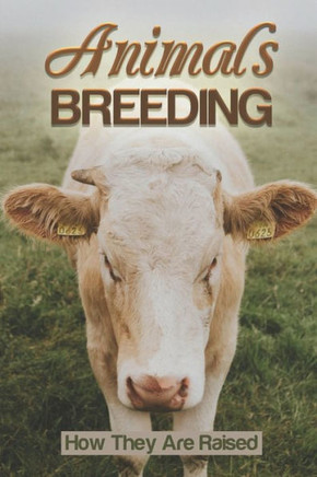Animals Breeding: How They Are Raised: Animal Fed By Grain