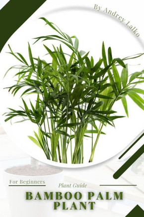 Bamboo Palm Plant: Prodigy Petal, Plant Guide
