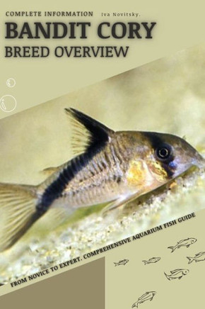 Bandit Cory: From Novice to Expert. Comprehensive Aquarium Fish Guide