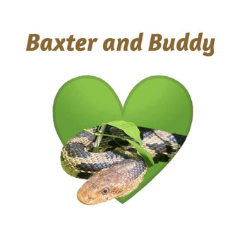 Baxter and Buddy: A story of understanding