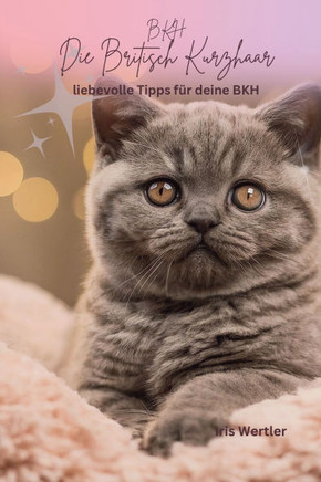 BKH Die Britisch Kurzhaar: liebevolle Tipps für deine BKH
