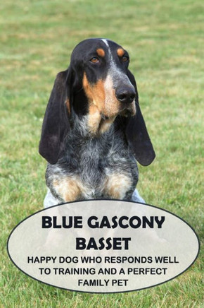 Blue Gascony Basset: Happy Dog Who Responds Well to Training and a Perfect Family Pet: Everything You Need To Know About Blue Gascony Basse