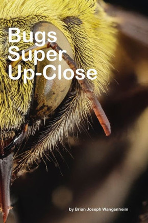 Bugs Super Up-Close: Macro Views of Bugs!