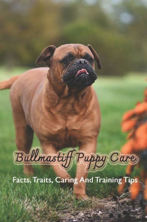 Bullmastiff Puppy Care: Facts, Traits, Caring And Training Tips: Bullmastiffand Breeding