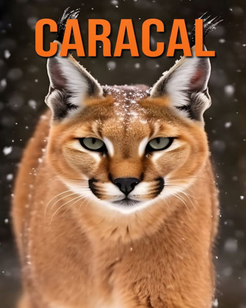 Caracal: The Essential Guide to This Amazing Animal with Amazing Photos
