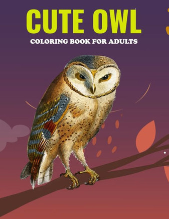 Cute Owl Coloring Book For Adults: An Owl Coloring Book with Fun Easy, Amusement, Stress Relieving & much more For Adults, Men, Girls, Boys & Teens