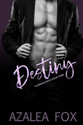 Destiny: A steamy WWBM interracial romance