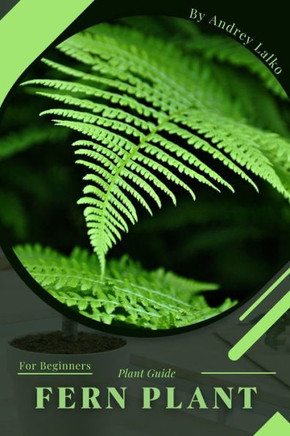 Fern Plant: Plant Guide
