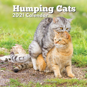 Funny Cat Lover Gift: Humping Cats 2021 Calendar for Women Men