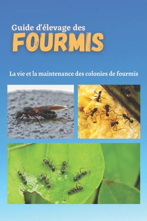 Guide d'élevage des fourmis: La vie et la maintenance des colonies de fourmis