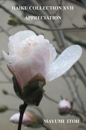 Haiku Collection XVII: Appreciation
