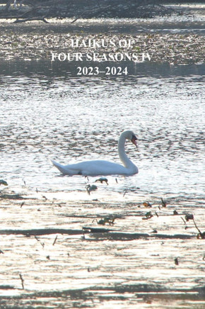 Haikus of Four Seasons IV: 2023-2024