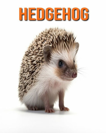 Hedgehog: Fun Facts Book for Kids with Amazing Photos