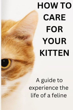 How to Care for Your Kitten: A Guide to Experincing the Life of Feline