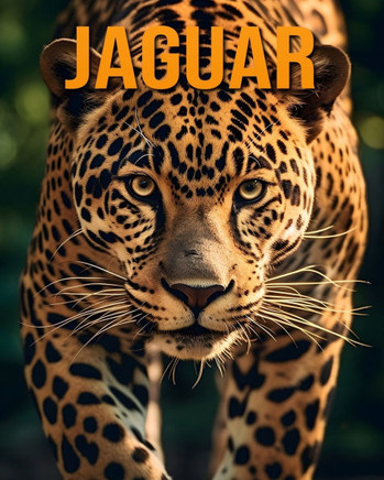 Jaguar: La guía esencial de este increíble animal con fotos increíbles