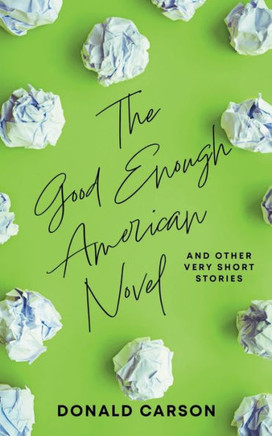 The Good Enough American Novel