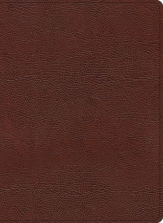 KJV Study Bible, Large Print Edition, Brown Bonded Leather - Large Print