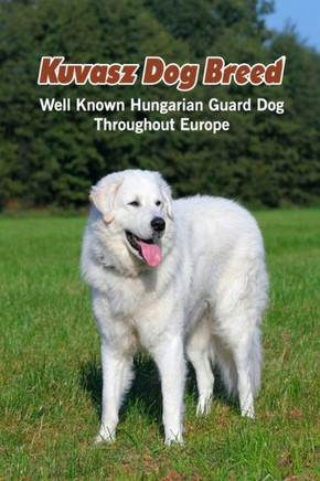 Kuvasz Dog Breed: Well Known Hungarian Guard Dog Throughout Europe: Kuvasz Dog Breed Facts and Personality Traits