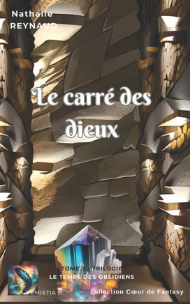 Le carré des dieux: T3 - Trilogie Le Temps des Obsidiens