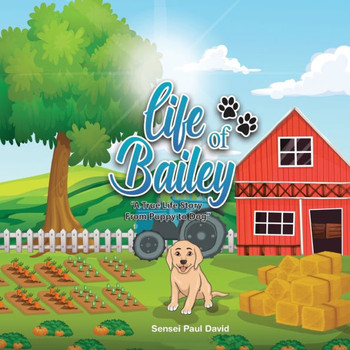 Life of Bailey : A True Life Story From Puppy To Dog