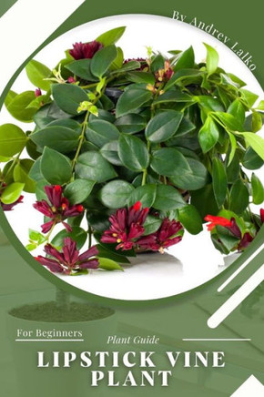 Lipstick Vine Plant: Plant Guide