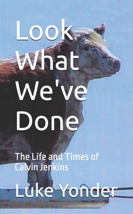 Look What We've Done: A Spoof on the Human Condition